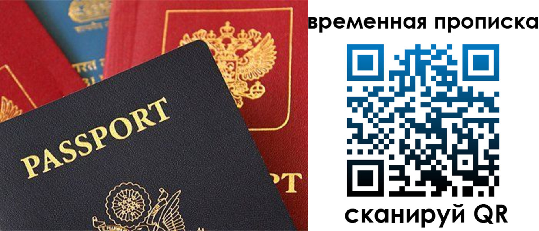 прописка для школы в Шумихе